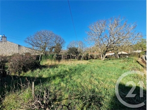 terrain à la vente -   33340  QUEYRAC, surface 520 m2 vente terrain - UBI448106900